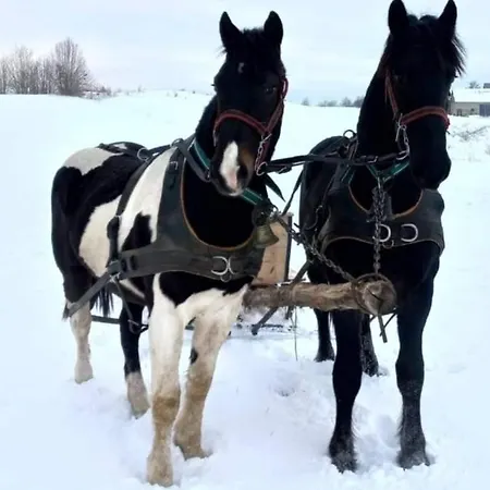 Caloroczny - Kaszubskie Zacisze Σπίτι διακοπών Kistowo