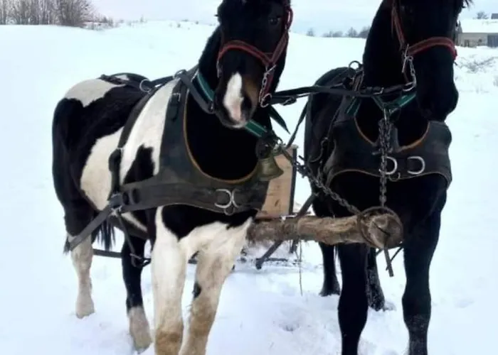 Caloroczny - Kaszubskie Zacisze Tatil Evi Kistowo