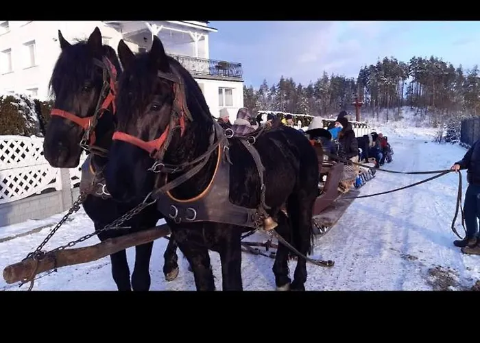 Caloroczny - Kaszubskie Zacisze Tatil Evi *